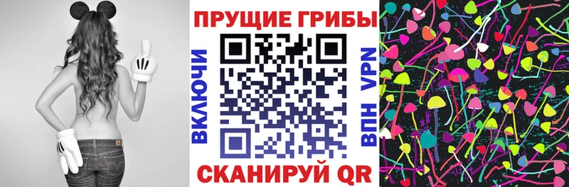 Псилоцибиновые грибы мицелий  Баксан 