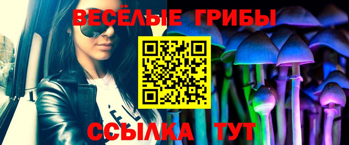 Баксан  Галлюциногенные грибы мухоморы  Вход с VPN  Галлюциногенные грибы мицелий 